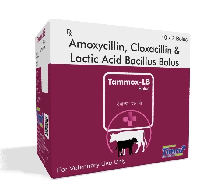 TAMMOX-LB BOLUS